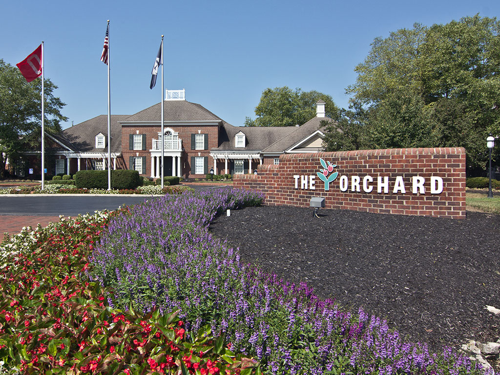 Welcome to The Orchard