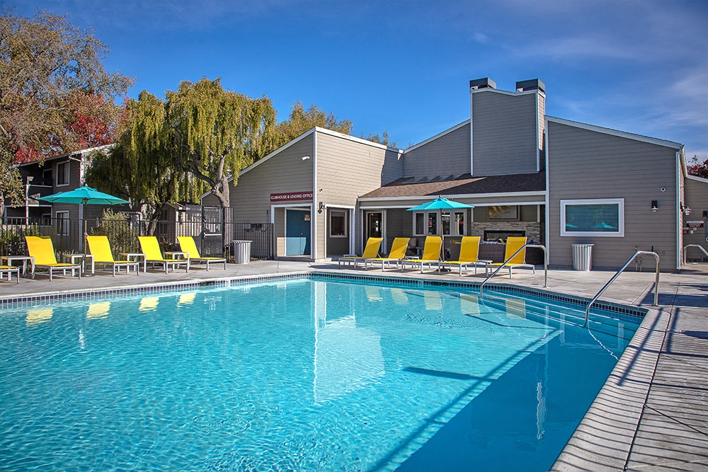 The Alexandar Image 15