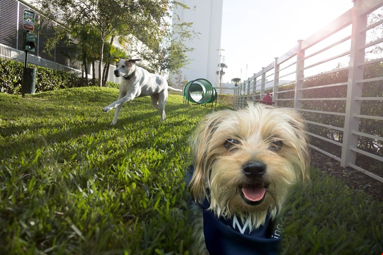 Camden Pier District Image 16