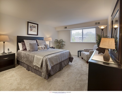 Eagle Stream Image 14