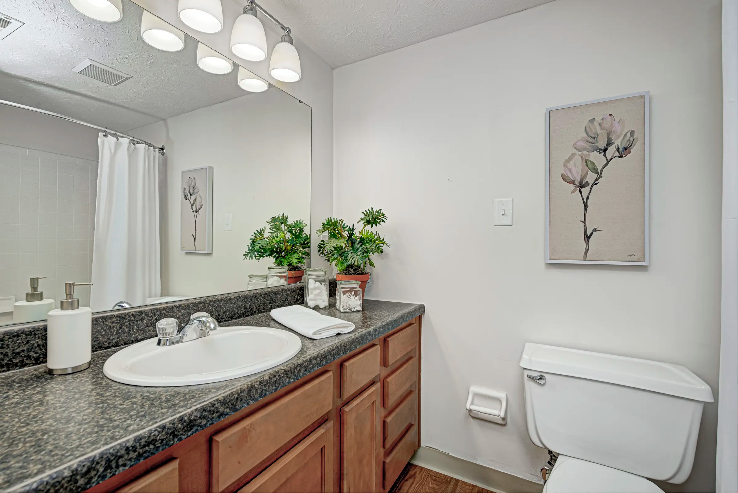 Creek Bay at Meridian Woods Image 16