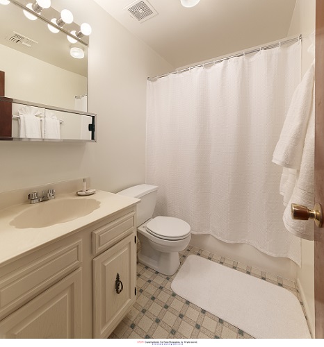 Eagle Stream Image 7