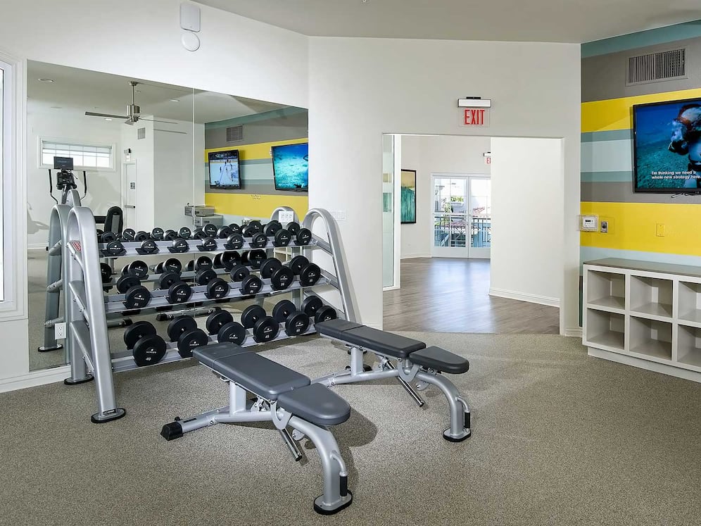 Fitness Center with Strength Equipment