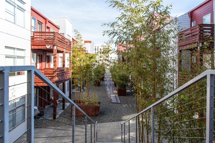 Soma Residences Image 7