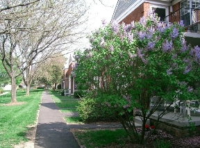 Dover Manor Image 10