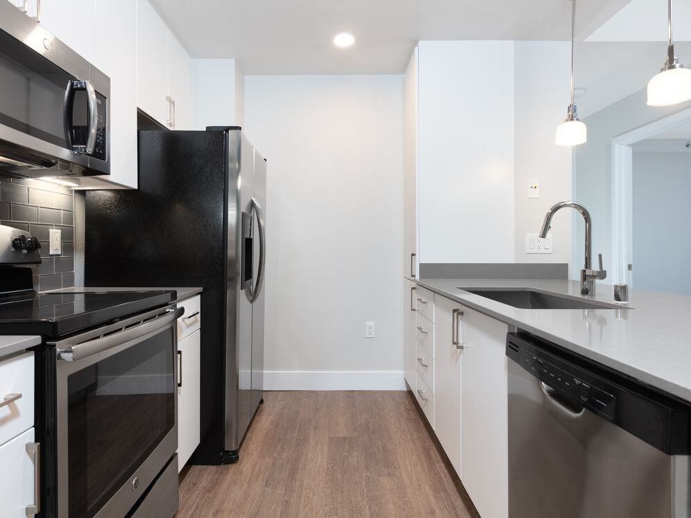 Renovated Phase I kitchen with stainless steel appliances and hard surface flooring