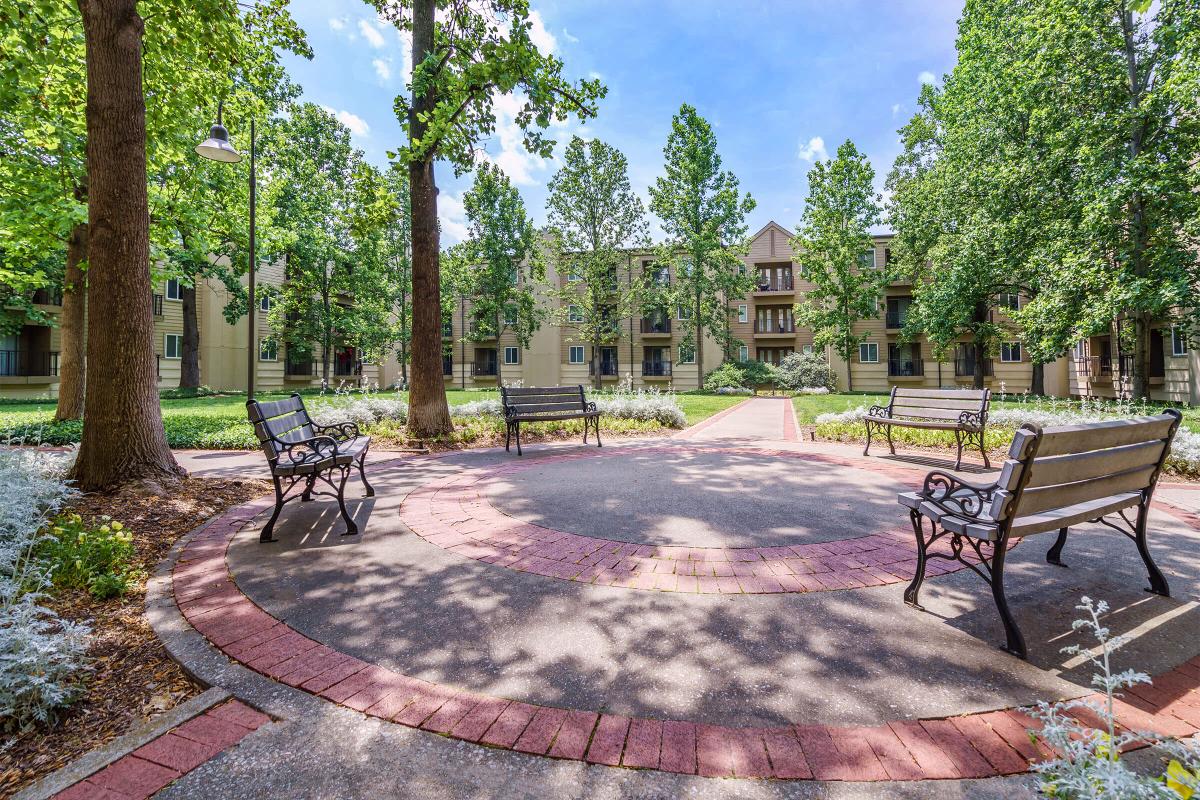 Village at Vanderbilt Image 4