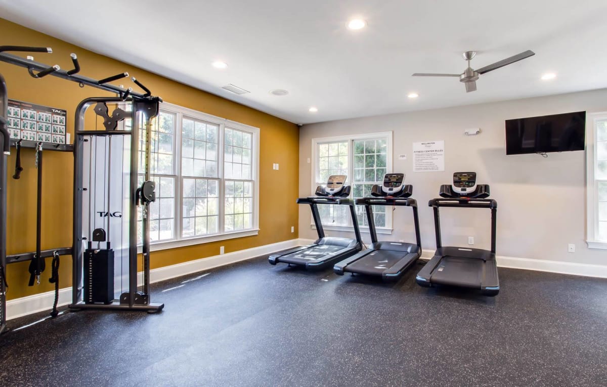 Wellington Ridge  Image 6