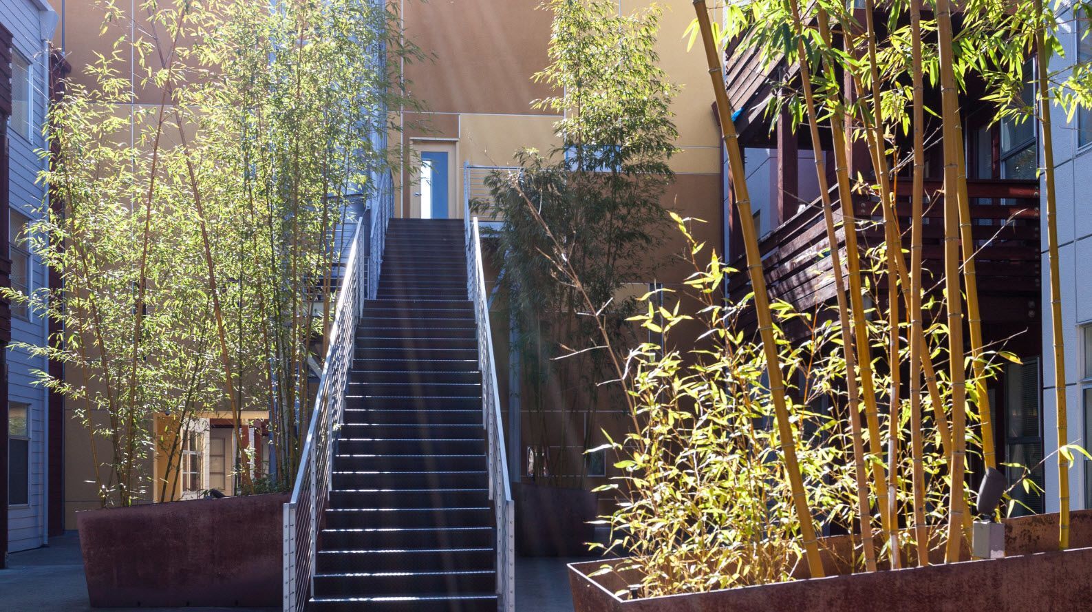 Soma Residences Image 8