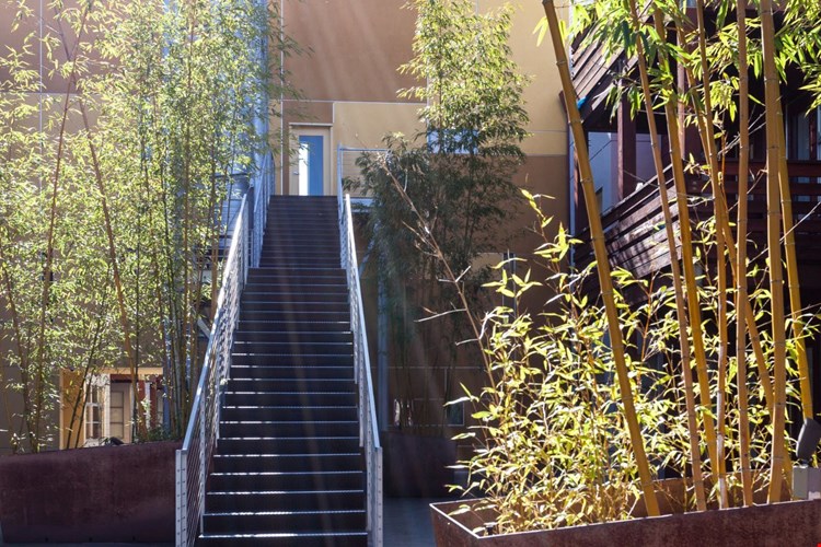 Soma Residences Image 8