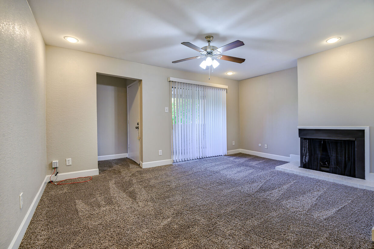 San Mateo Forest Image 6