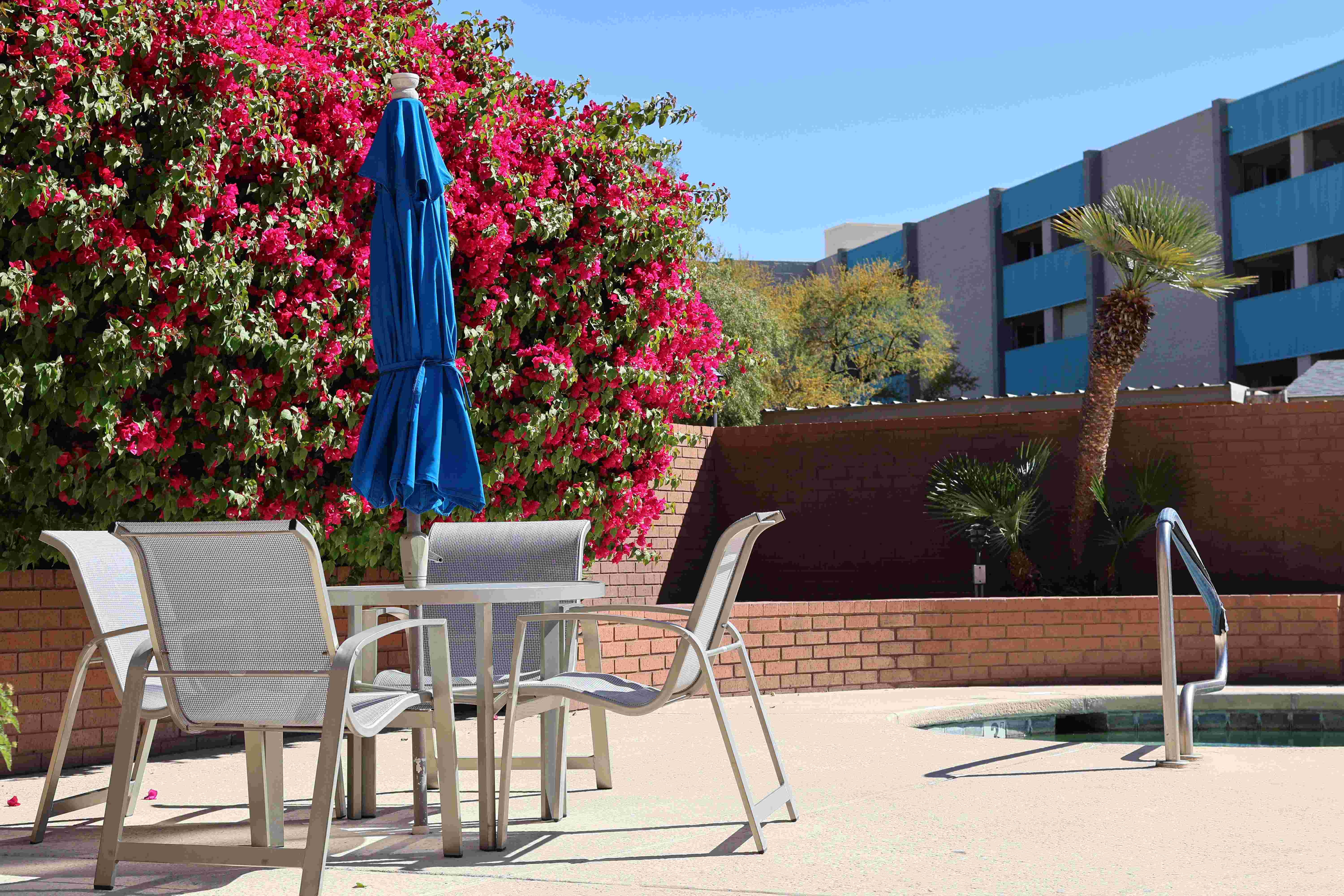 Carondelet Apartments Image 15