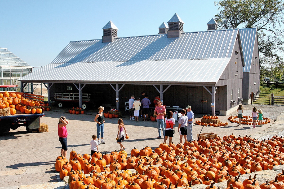 New Town Farmers Market