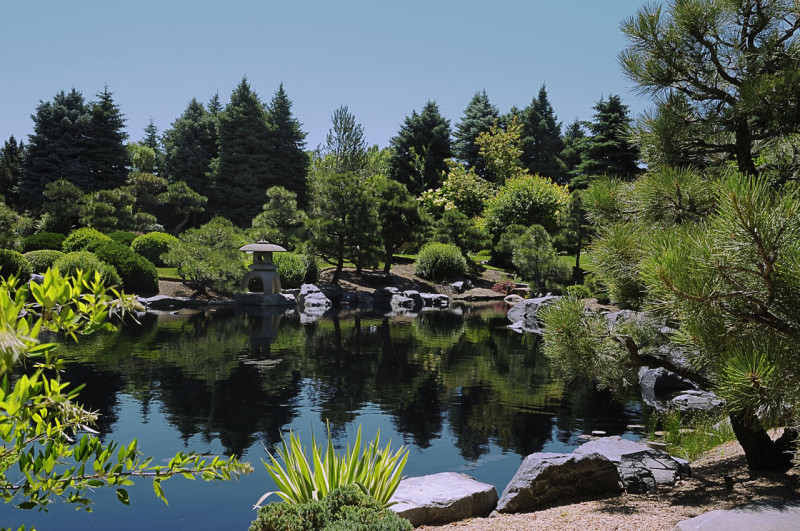 Liongate Apartments Image 10