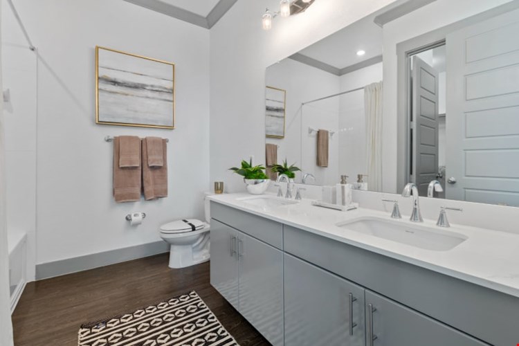 Reveal Skyline Image 41