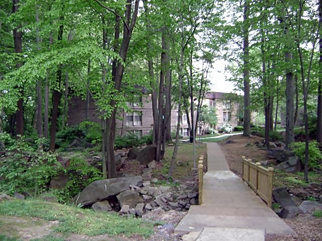 Top of the Hill Apartments Image 18