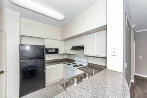 Enclave at Copperfield Image 4