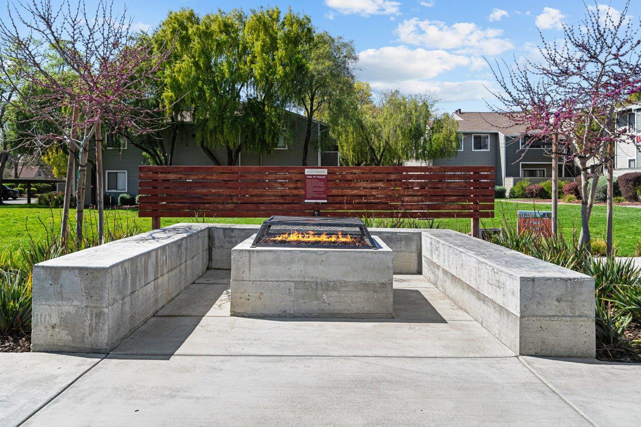 The Alexandar Image 22