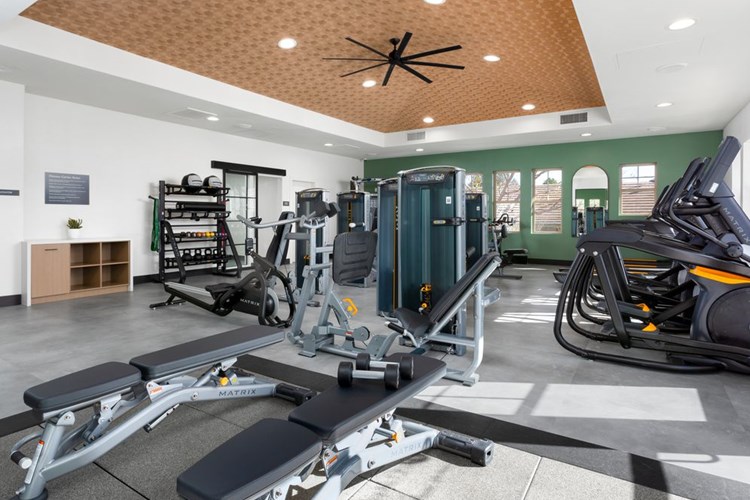 Fitness Center with Strength and Cardio Equipment