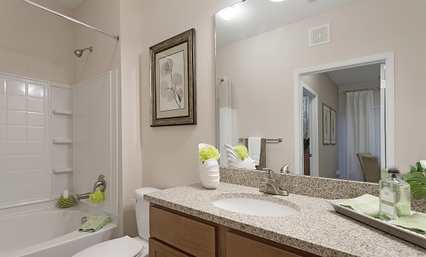 The Apartments at Brayden Image 9