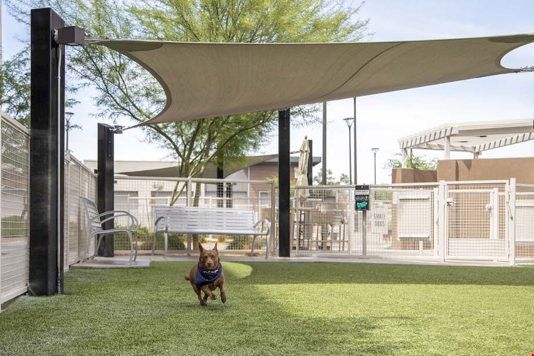 Camden North End Image 47