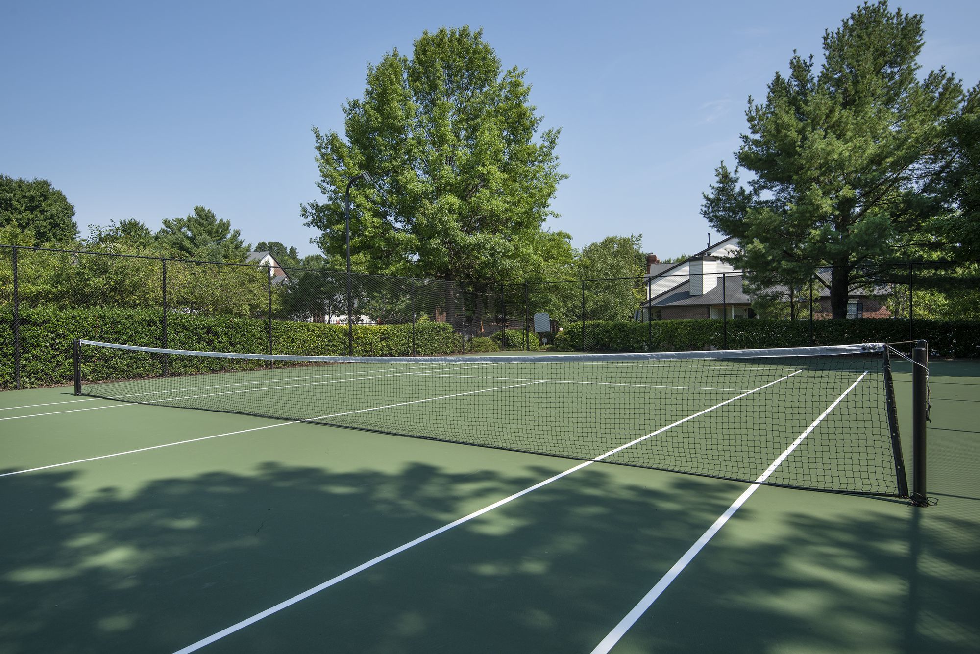 Bellemeade Farms Image 36