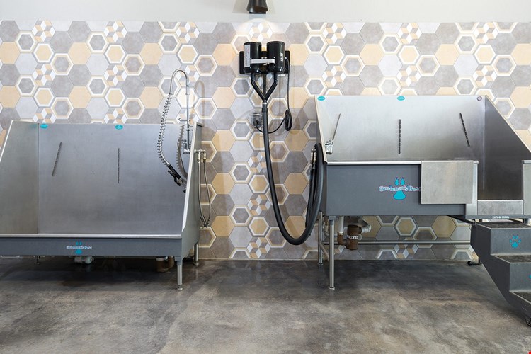 Gallery at Domain Edge and Parkside Image 61