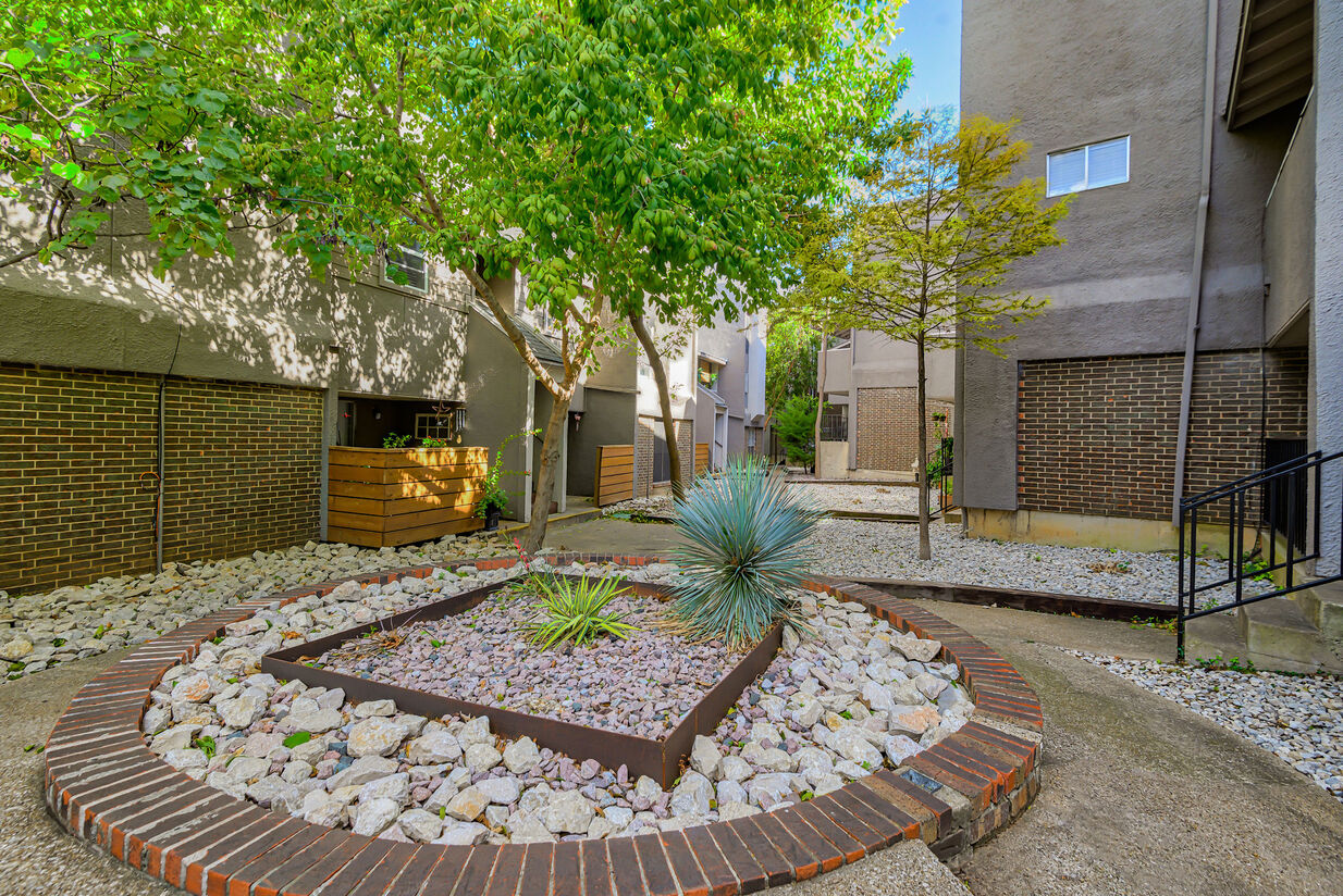 San Mateo Forest Image 5