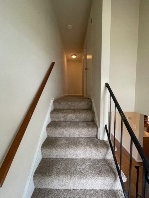 Longview Image 241
