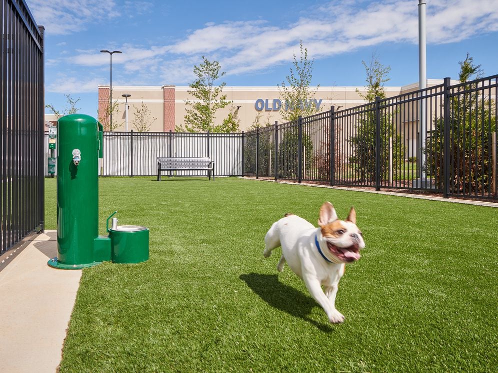 Pet-friendly community with WAG Pet Park