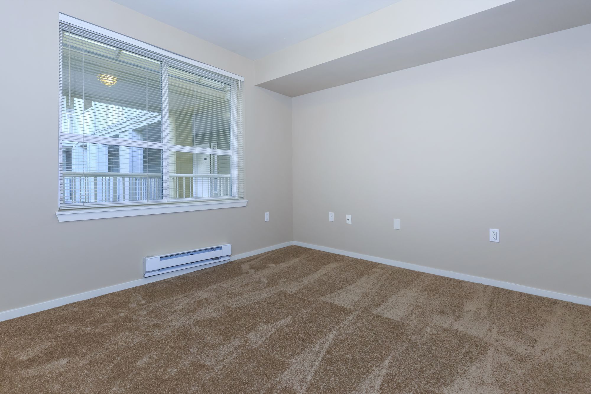 St. Theodore on Roosevelt Image 11