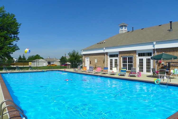 Autumn Chase Image 24