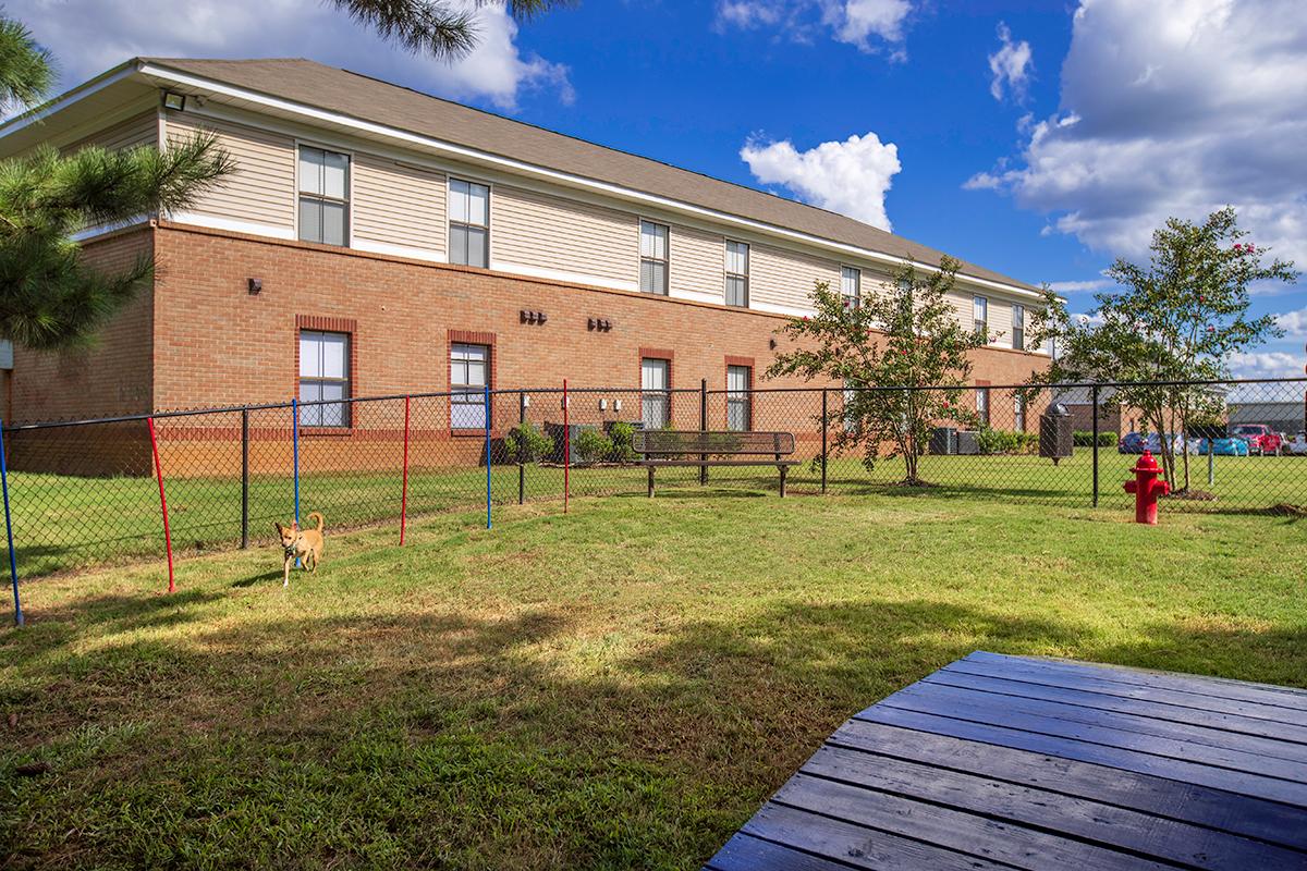 Our dog park features agility equipment for your pup to enjoy.
