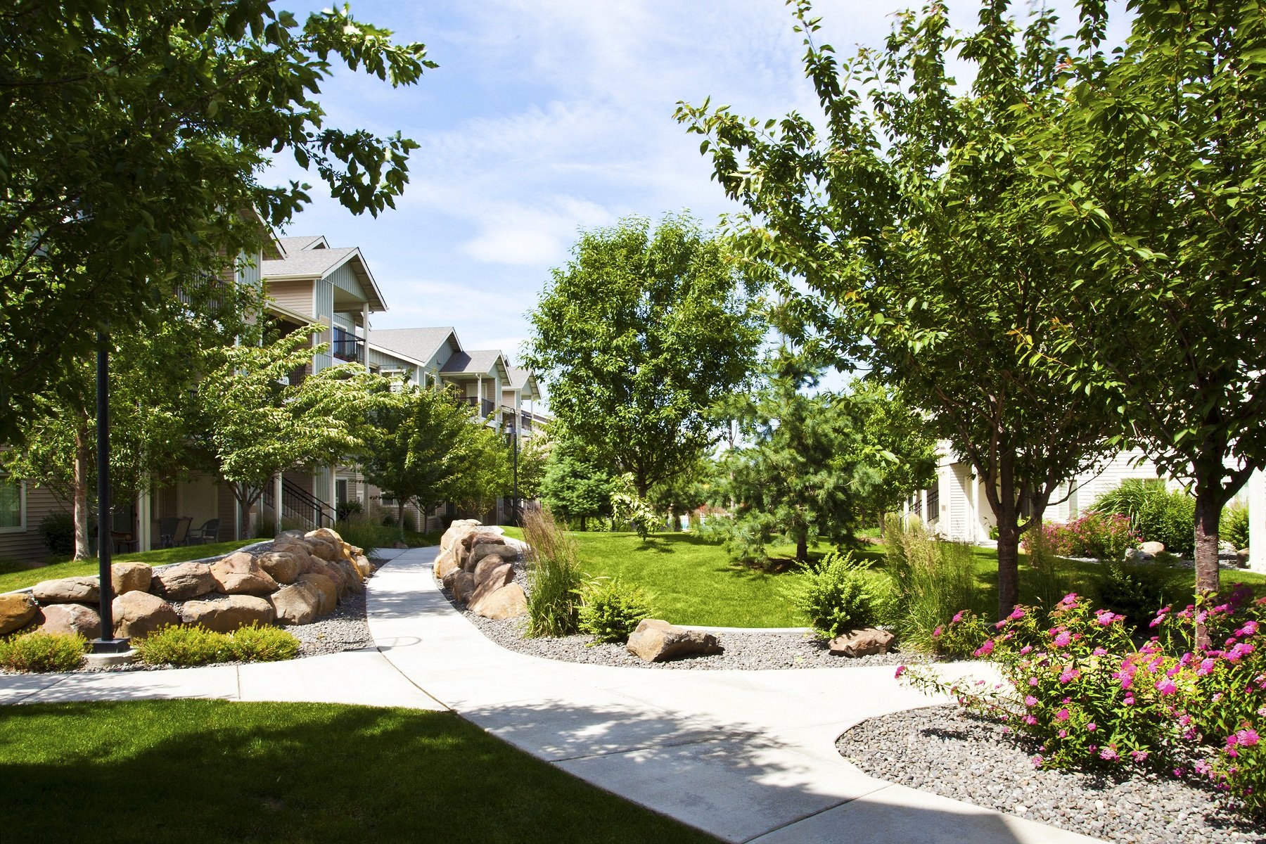 Scenic Walking Paths