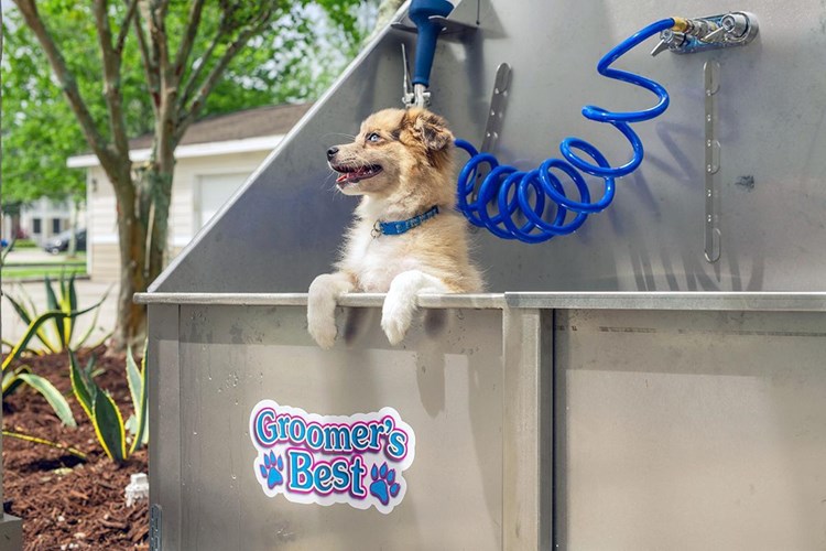We offer pet friendly apartments in Lantana and we even have a dog wash so you can get your pup nice and clean.