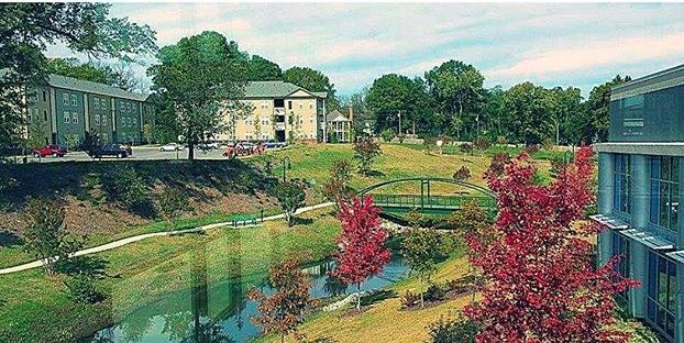 Jackson Walk Image 5