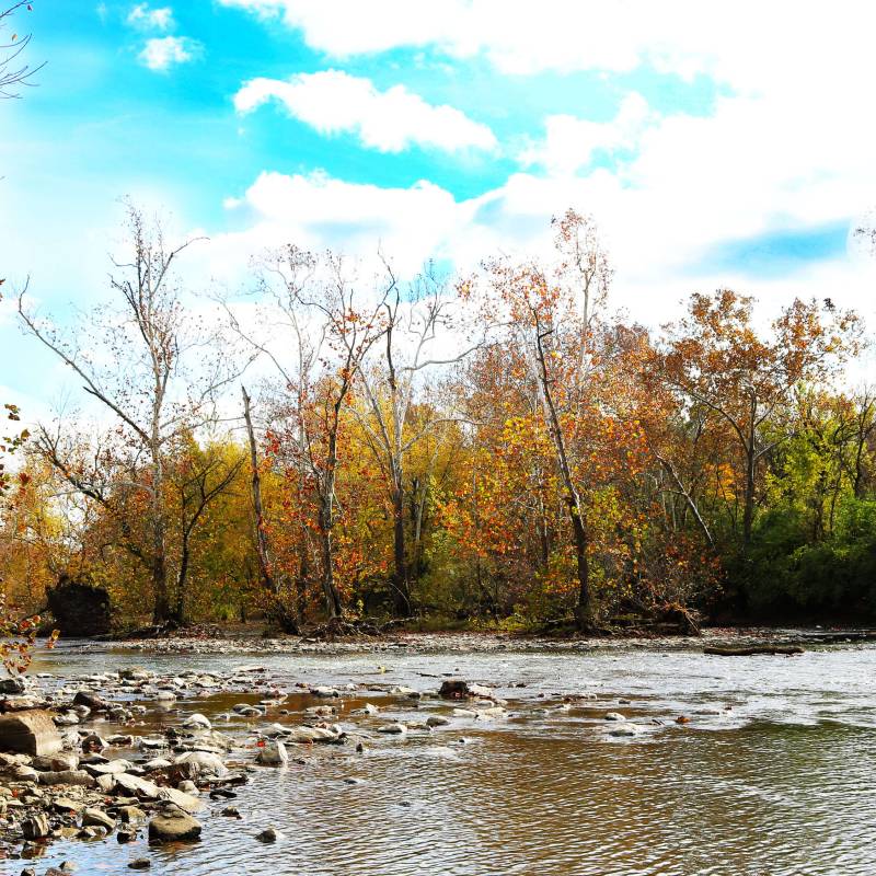 Arlington Pointe Apartments Image 6