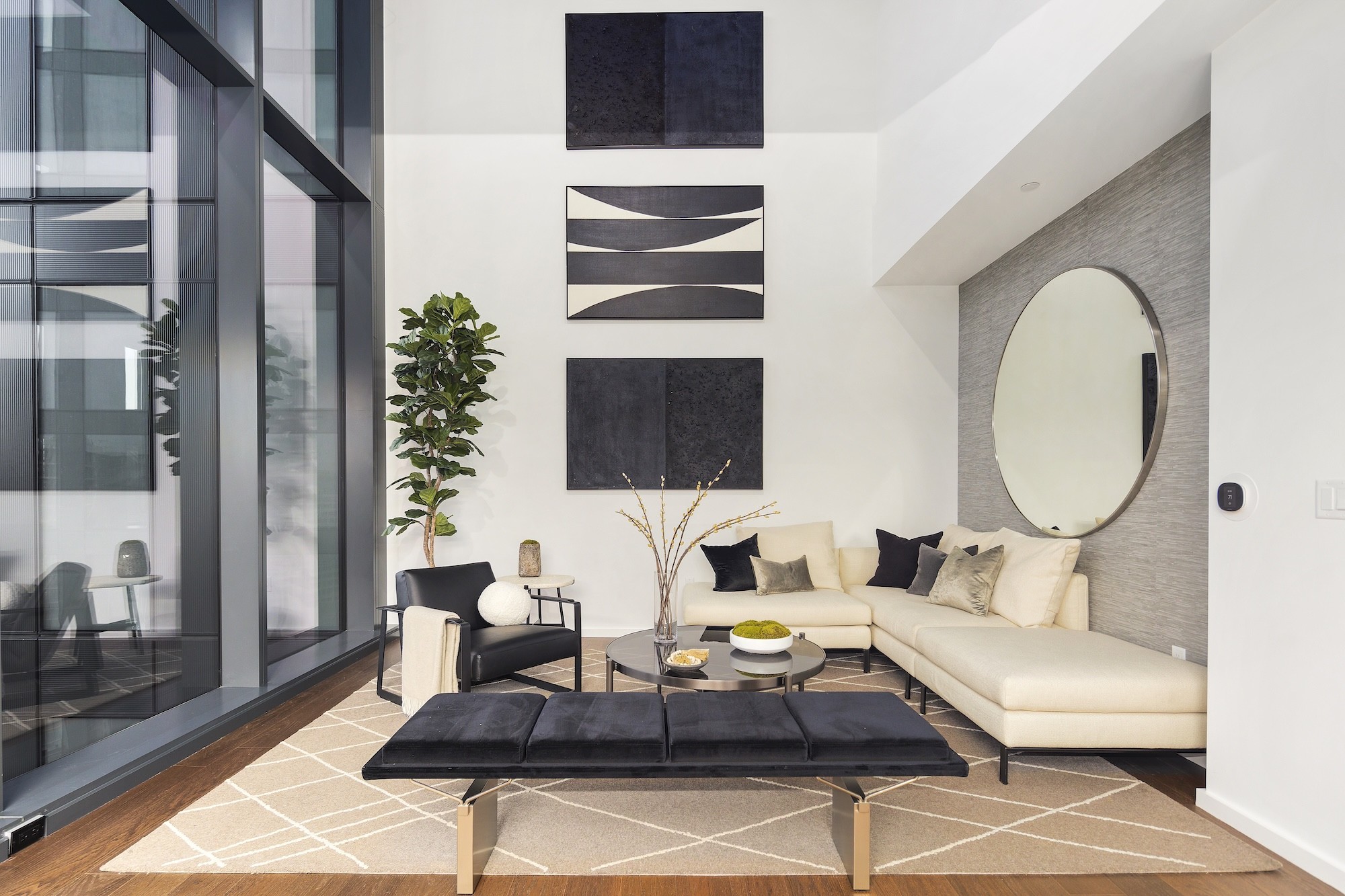 The Modern Image 6