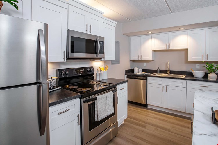 Discover the sleek and functional design of our modern kitchens, featuring stainless steel appliances, black granite-style countertops, and chic white cabinetry, offering the perfect balance of style and efficiency.