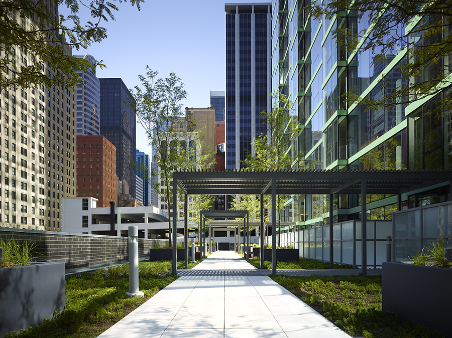 Linea Image 17