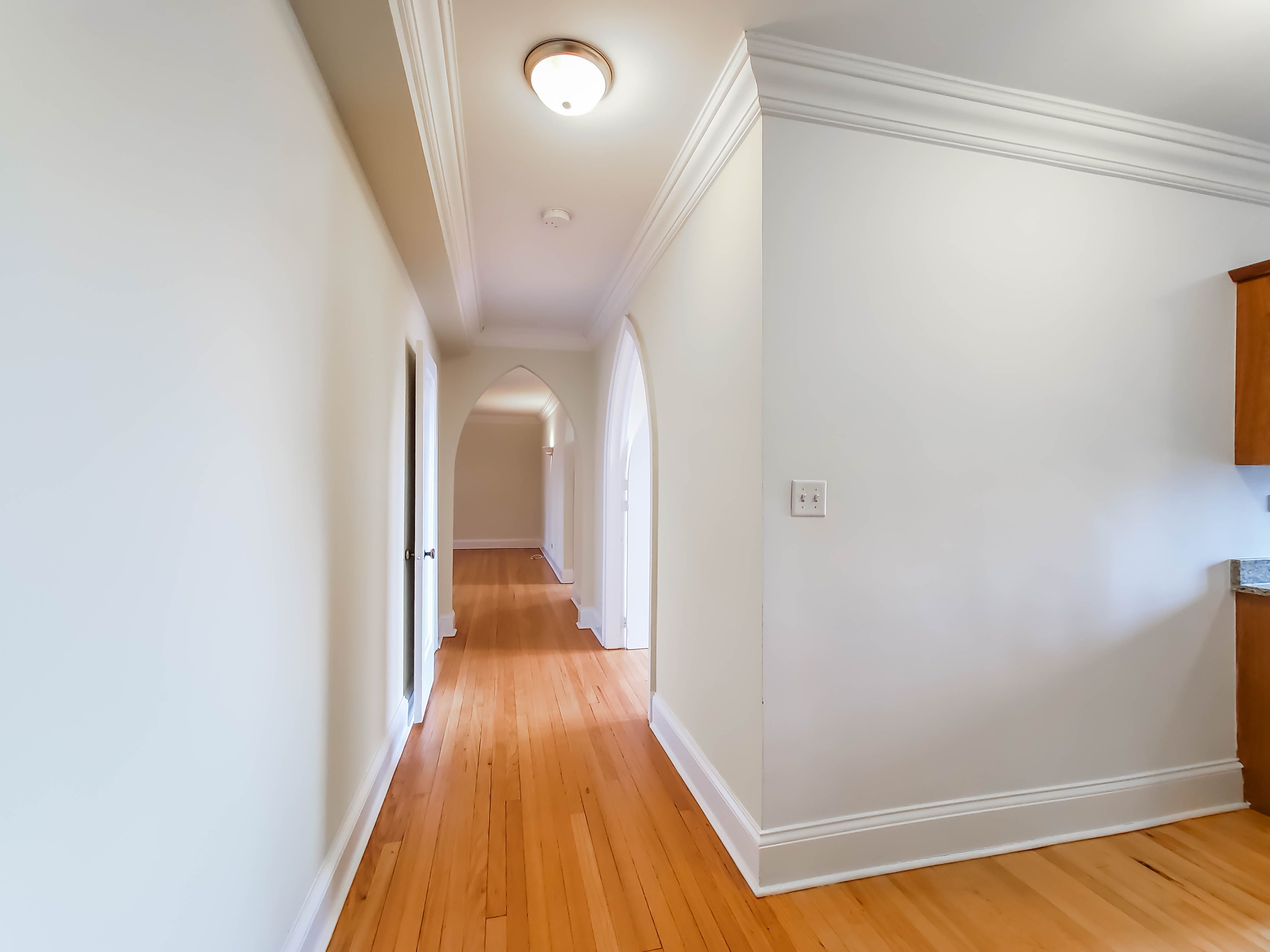 The Patricians Image 30