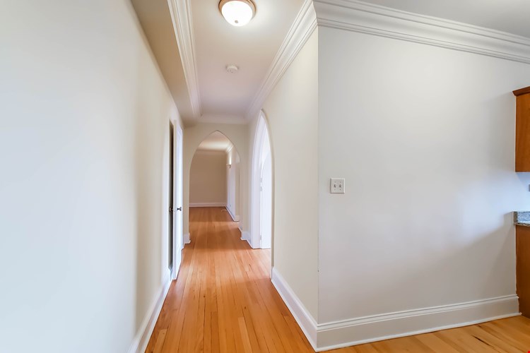 The Patricians Image 30