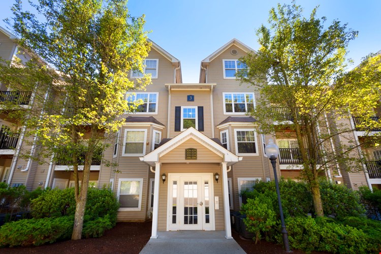 The Point at Still River Image 17