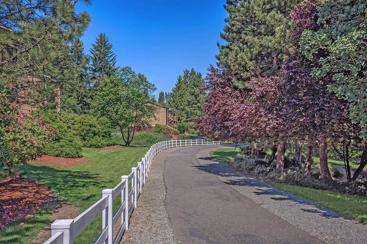 Tamaron Ranch Apartments Image 11