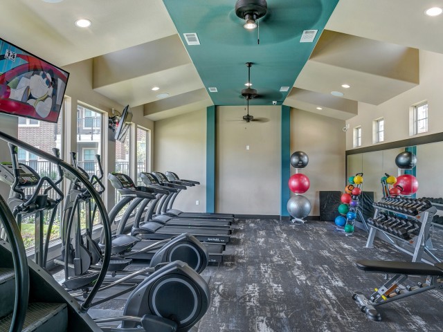 Luxury Apartments For  Rent