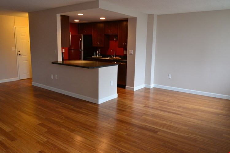 Del Coronado Image 20