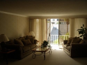 The Brittany Image 7