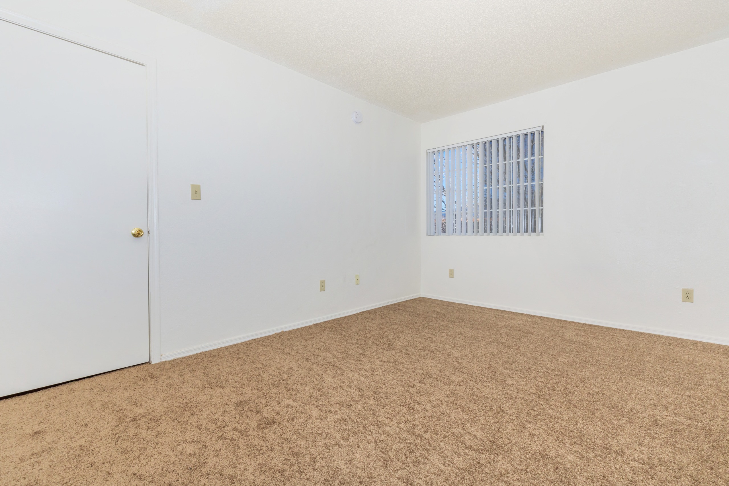 The Palisades Image 26