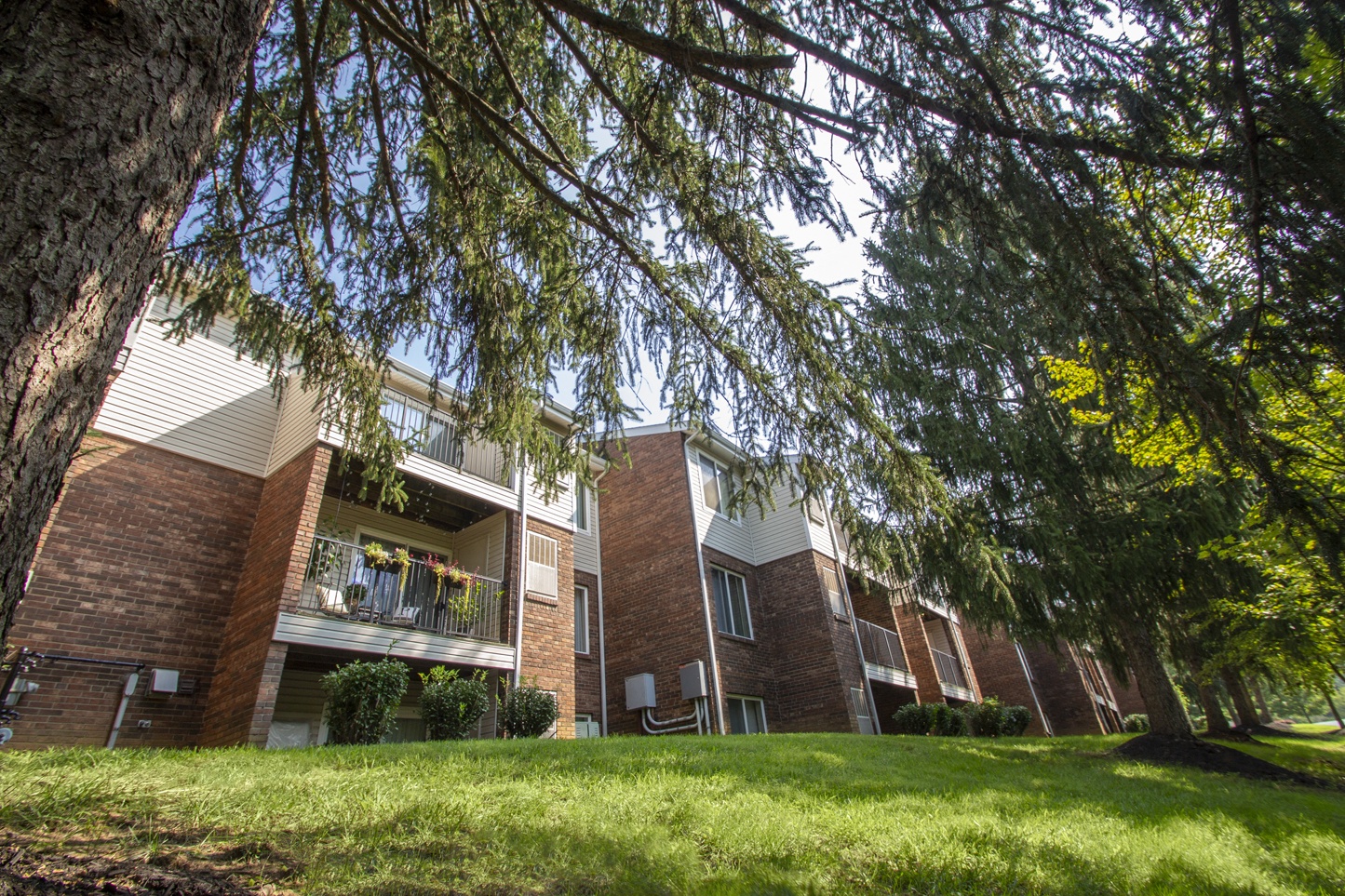 Deer Hill Image 79