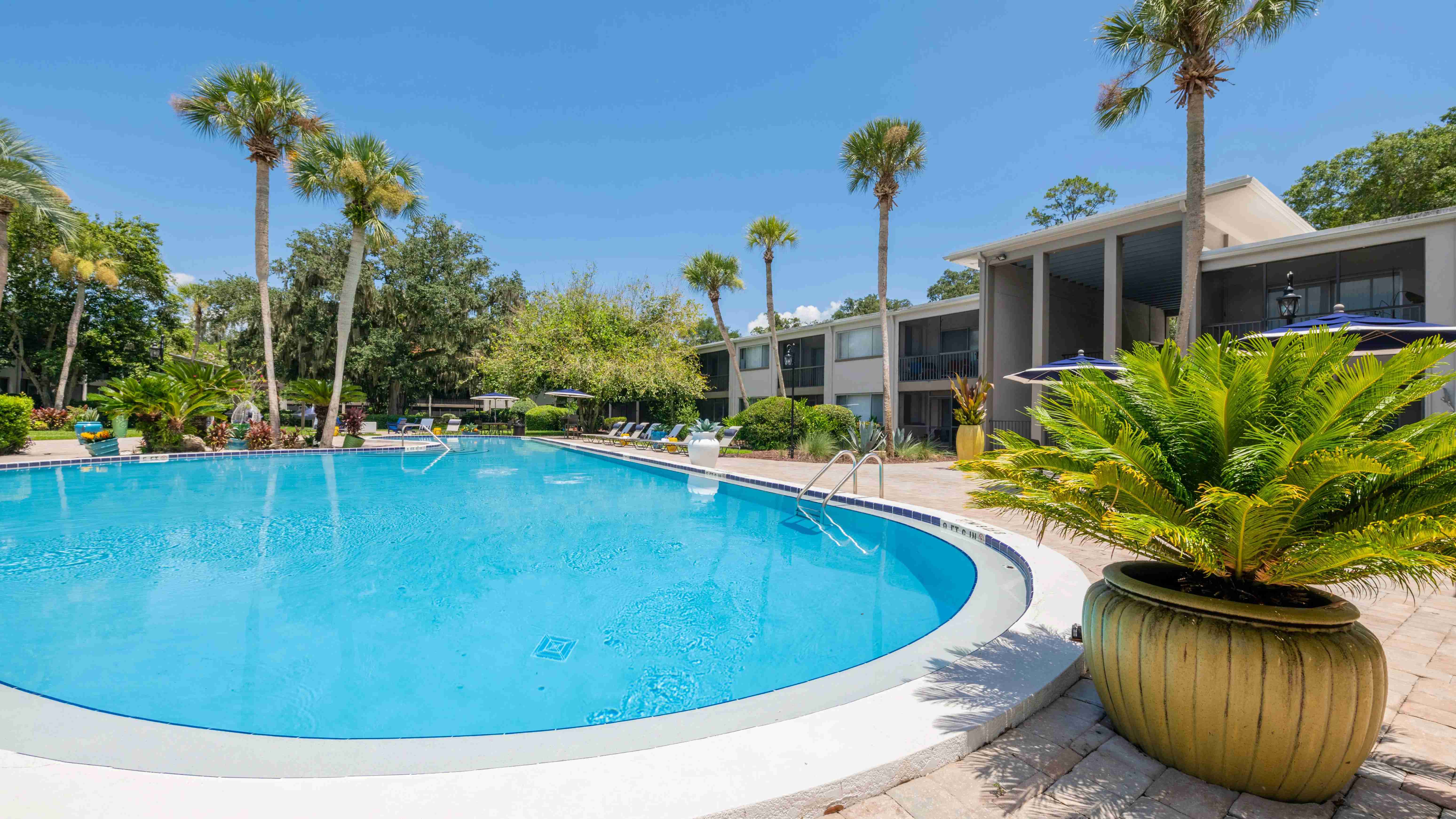 Enjoy the ultimate poolside experience with our alluring resort-style pool, a year-round retreat!